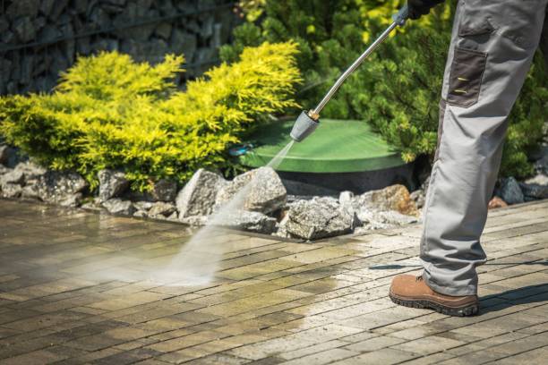 Best Sign and Awning Cleaning  in Laingsburg, MI