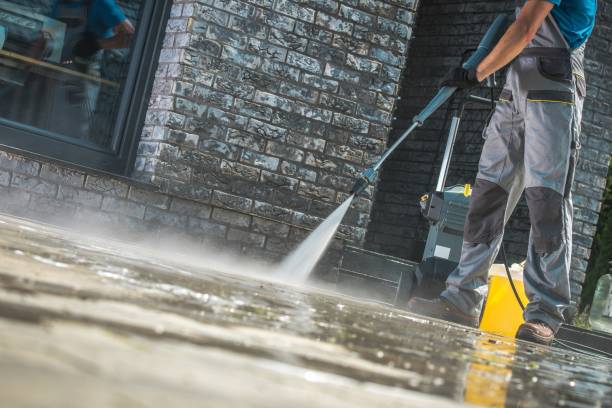 Best Pre-Holiday Cleaning  in Laingsburg, MI