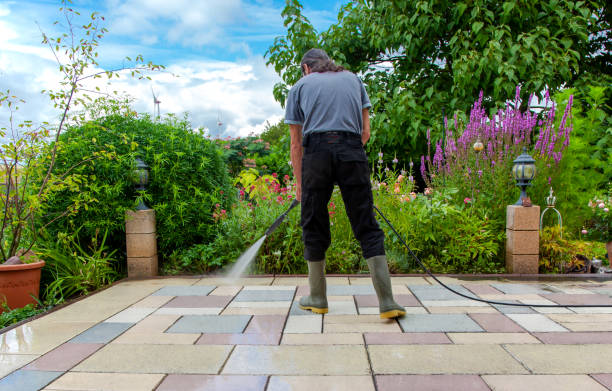 Best Spring Cleaning  in Laingsburg, MI